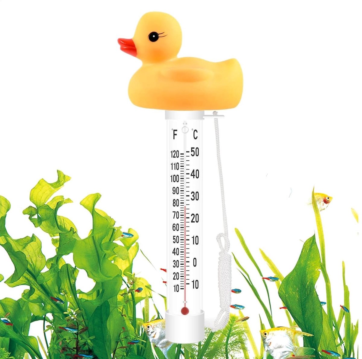 Zwembadthermometer Drijvend - Waterthermometer Vijver - Water Temperatuur Meten - Leuk Dieren Design - 10.3 cm - Geel
