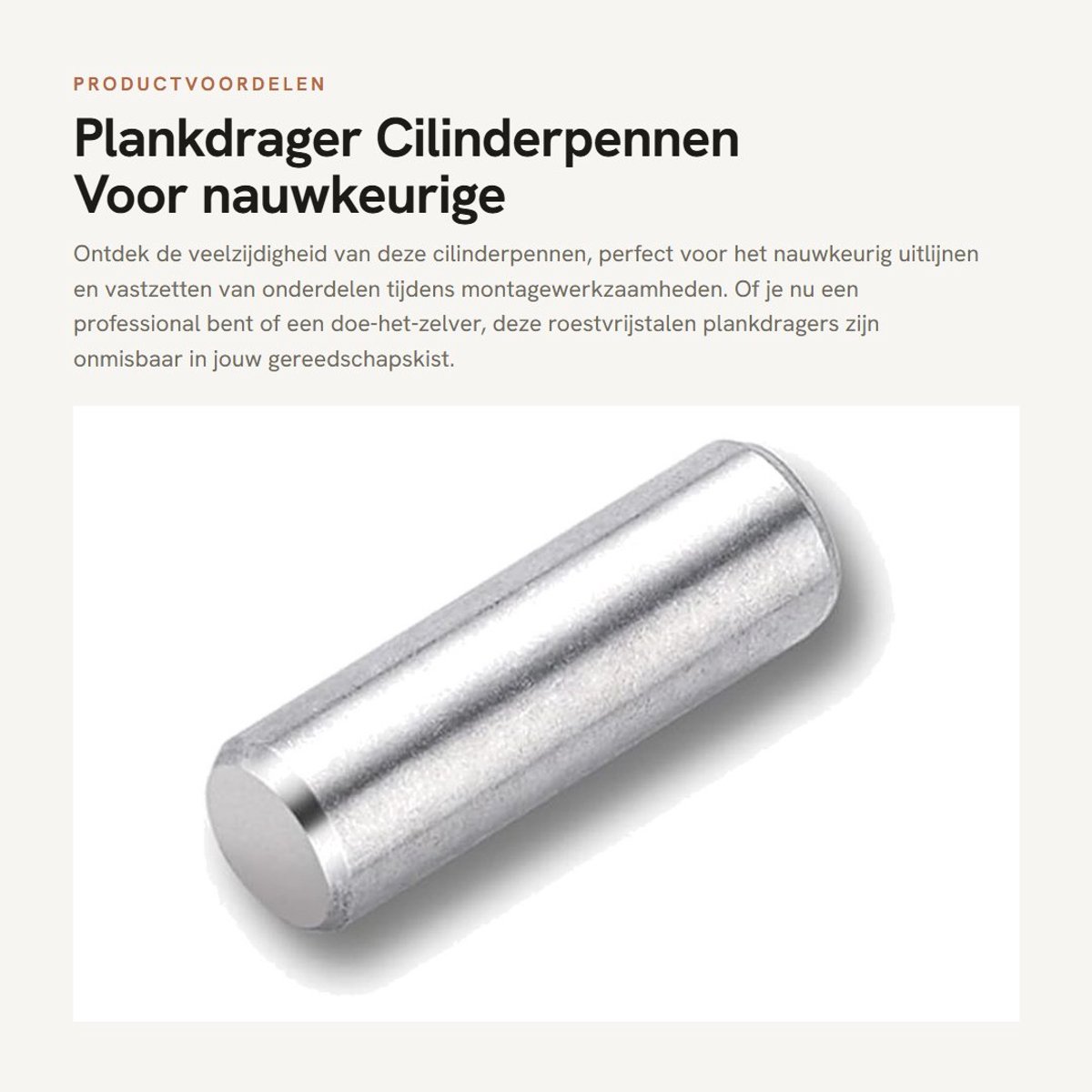 Dailygoods- Plankdrager Roestvrij Staal - Positioneringspennen - Cilinderpennen - Plankstift M6x16mm - 20 Stuks - Duurzaam en Corrosiebestendig - Positioneringspen
