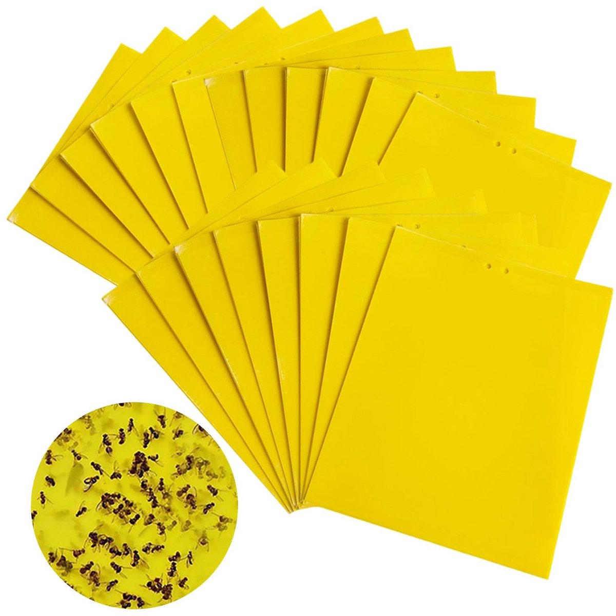Dailygoods- Vliegenval 20 Stuks - Gele Kleverige Vliegenvallen - Rouwmuggen/Bladluizen - Effectieve Insectenvanger - 20 x 15 cm - Eenvoudig Aanbrengen - Plantenval