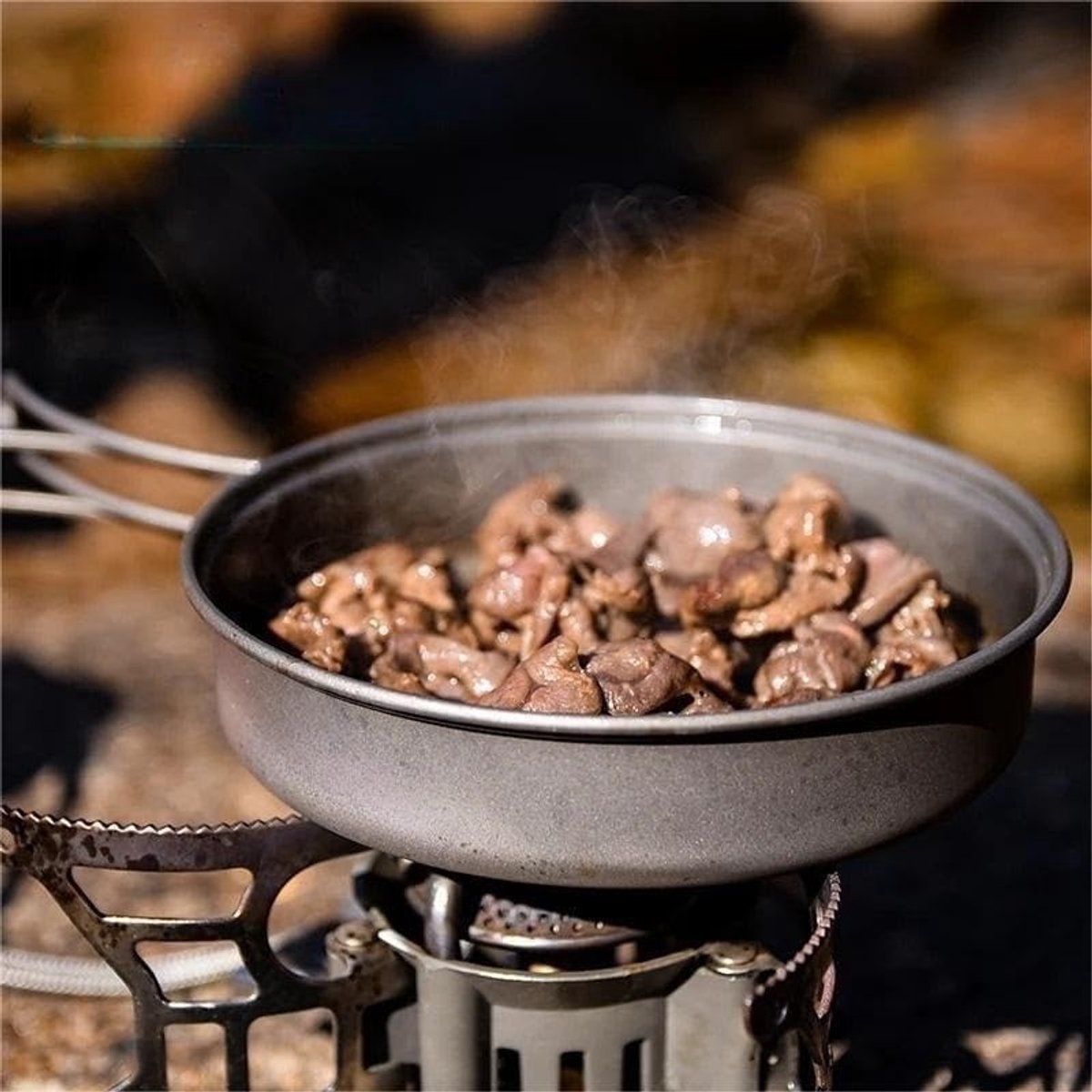 Buitenservies Set - Picknick Servies - Kamperen en Reizen - Onbreekbaar Roestvrij Staal - 50 Gram - Zilver