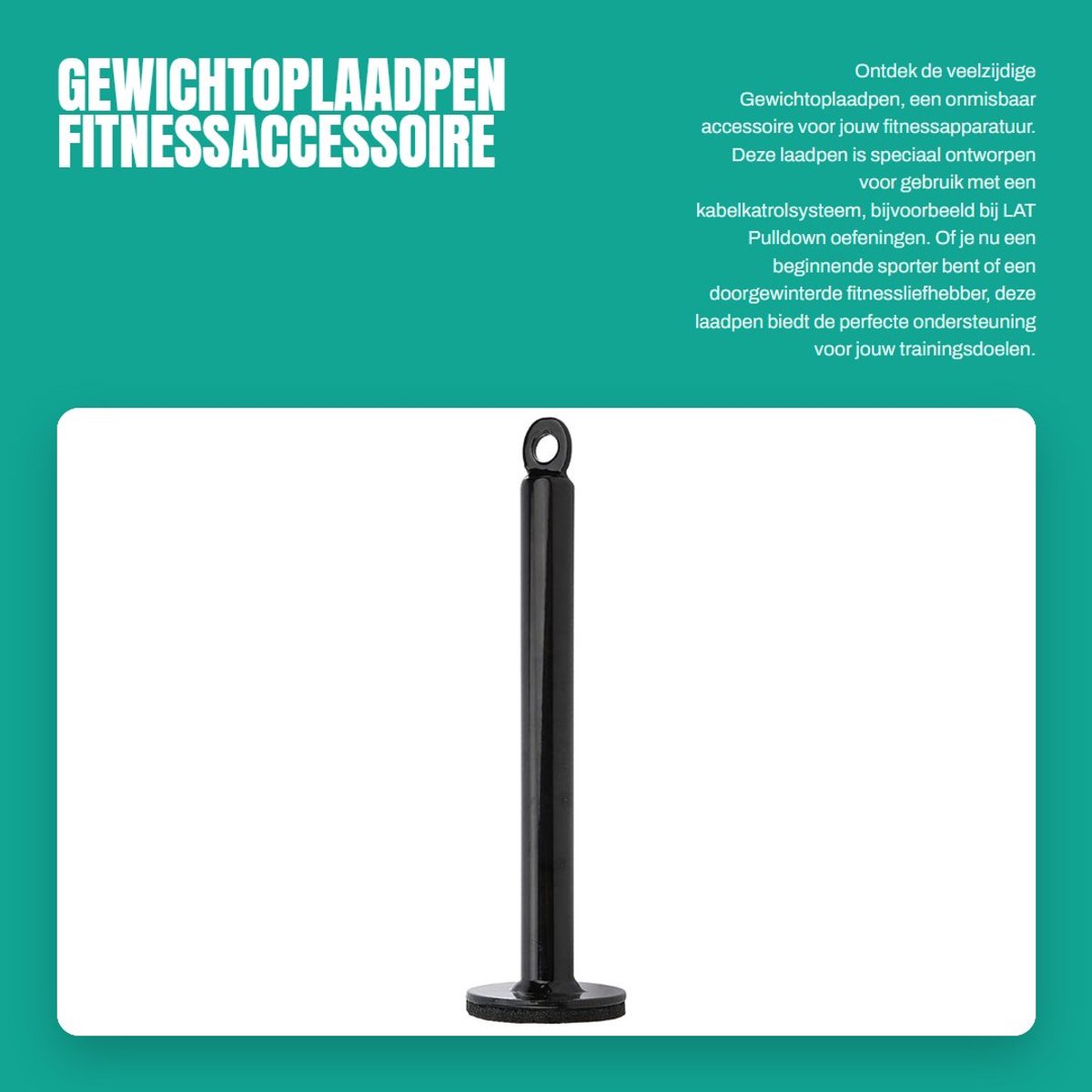 Dailygoods- Gewichtoplaadpen 100 kg - Laadpen - Roestvrij staal - Fitnessaccessoire - Halterschijf - Gloednieuw