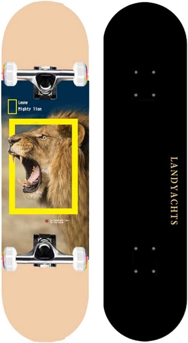 Longboard Skateboard Vier Wiel Board Buiten Rijden Dubbele Kick Tail 31 x 8 Inch Optioneel