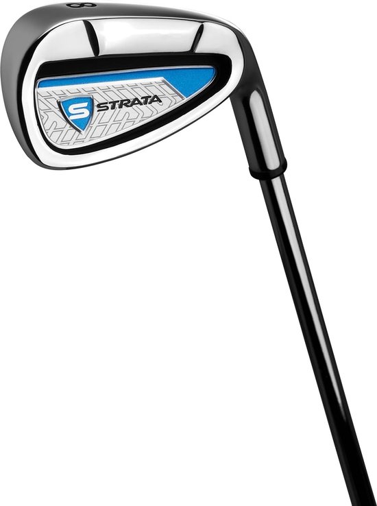 Complete Golfset Heren 12-delig - Driver, Hout, Hybride, IJzers & Putter met Standbag — afbeelding 2