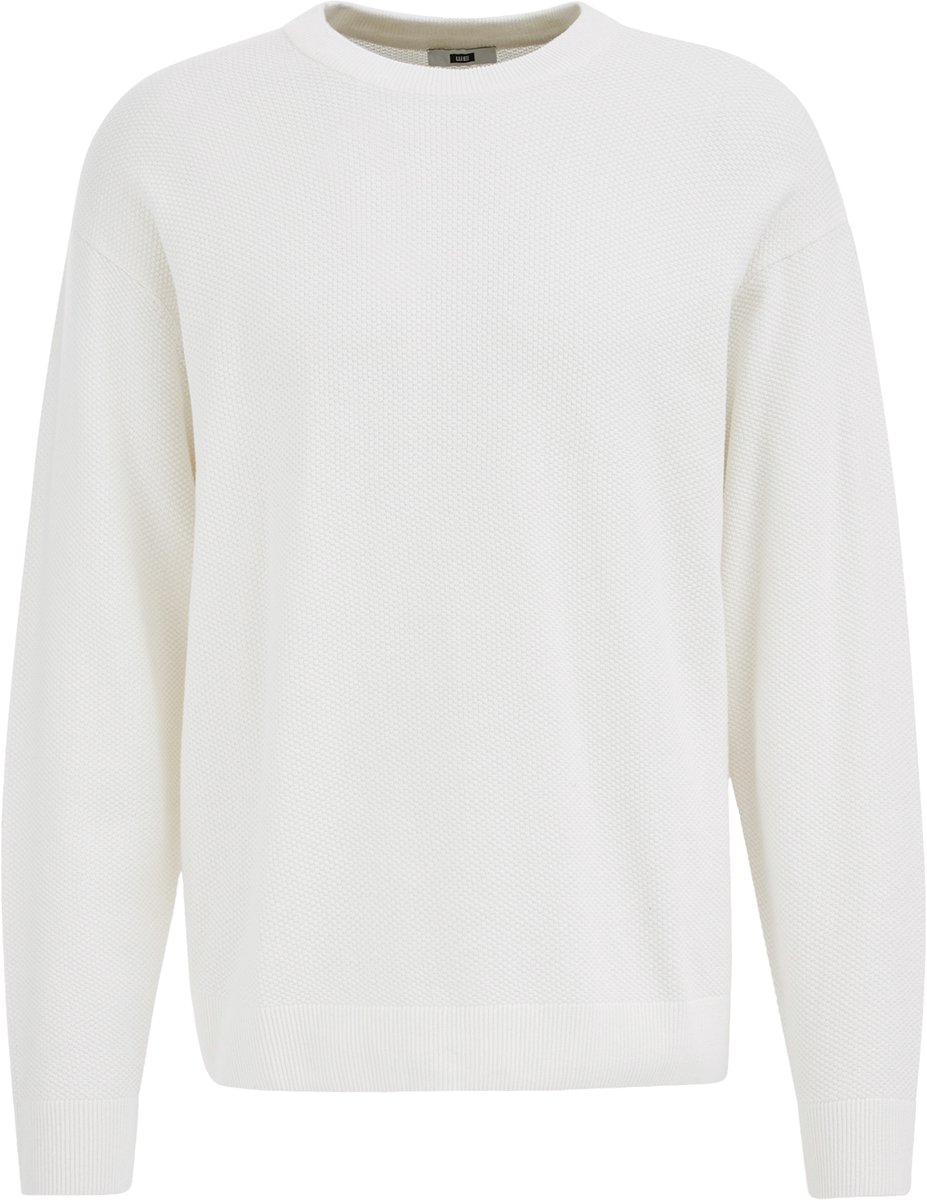 WE Fashion Heren regular fit gebreide trui met structuur