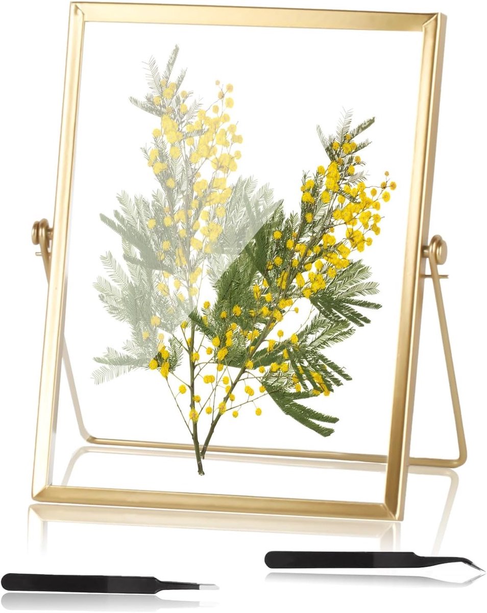 Drijvende Fotolijsten van Glas, 15x20cm - Gouden Lijsten voor Gedrukte Bloemen, Handgemaakte Kunst en Interieurdecoratie