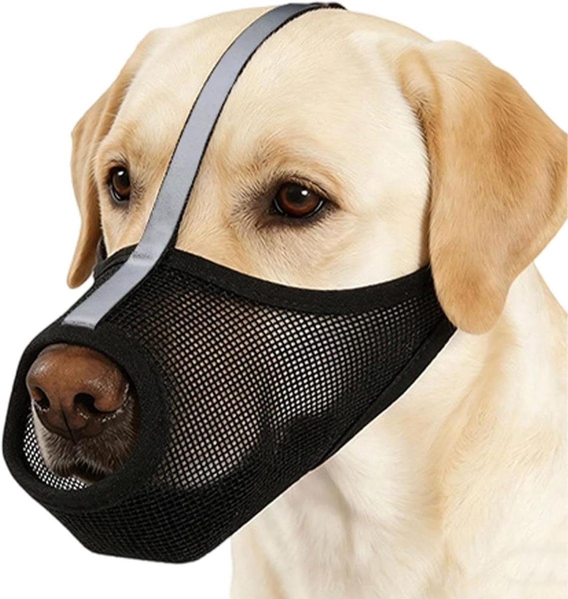 Honden muilkorf - Honden Muilkorf - Honden Muilkorf Ademend -Handig om te drinken en te hijgen - Honden Muilkorf Verstelbaar - Basket Muilkorf voor Hond - Zachte Muilkorf - Wasbaar