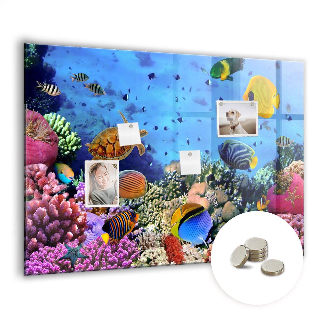 Coloray Glazen Magneetbord - Magnetisch Bord New York 's nachts - 100x70 cm - Veelkleurig Magneetbord - Magnetic Board - Magnetisch Wandbord