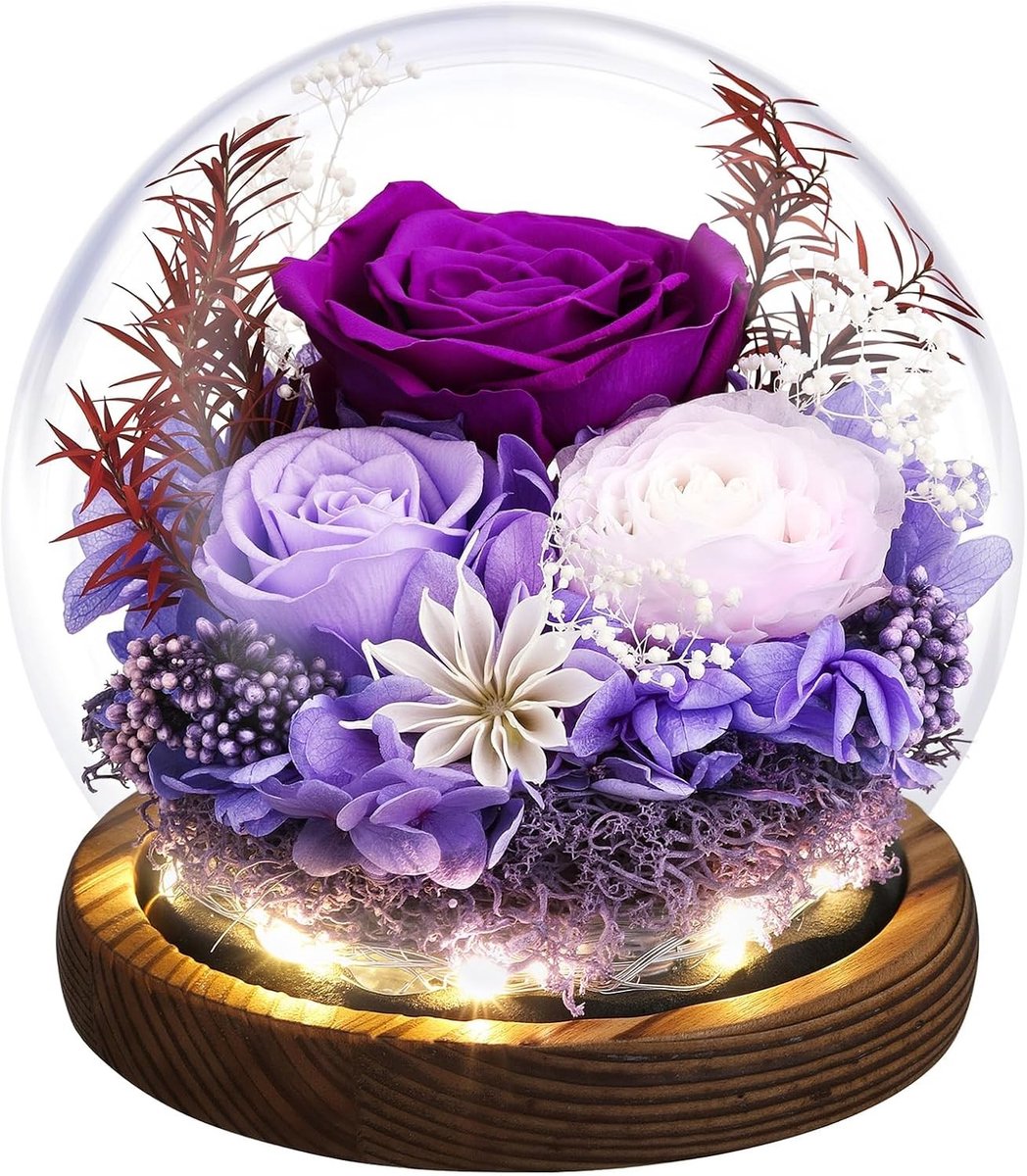Preserved Rozen in Glazen Kooi met LED Licht voor Moederdag, Verjaardag en Valentijnsdag Cadeaus voor Vrouwen, Paars en Uniek Geschenk voor Haar