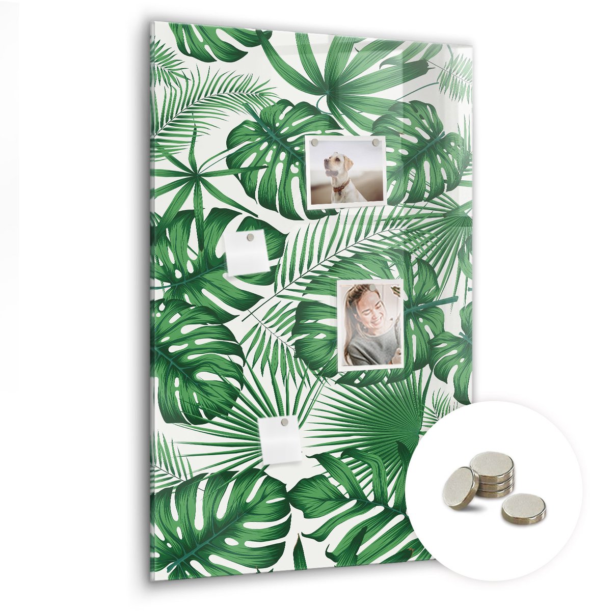Coloray Glazen Magneetbord - Magnetisch Bord Boomstronken - 60x90 cm - Groente Magneetbord - Magnetic Board - Woonkamer Decoratie