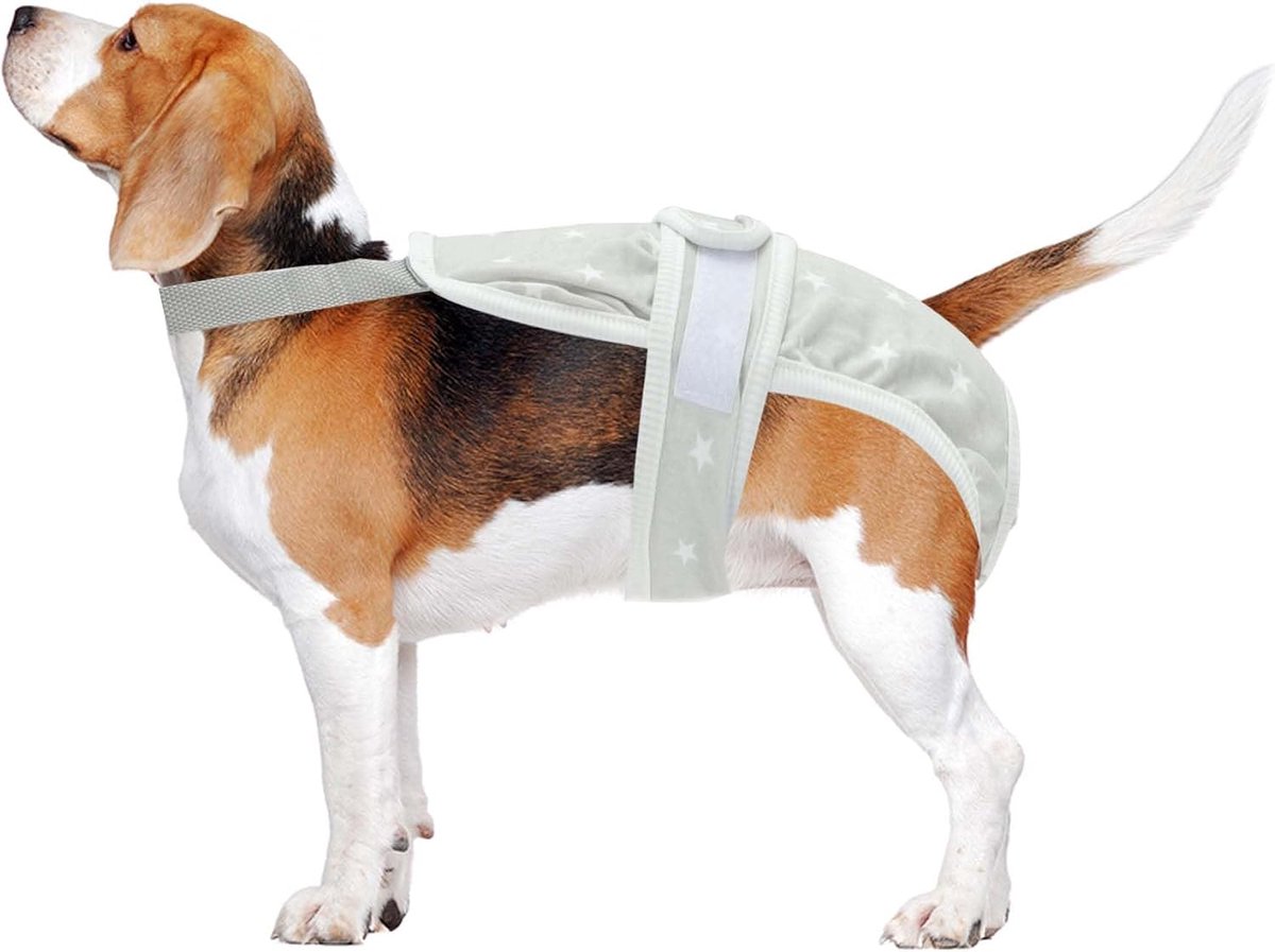 Dog Diapers for Female Dogs, Menstrual Diapers Puppies, Physiological Panties, Pet Underwear, Washable Reusable Pants - ShopVlot