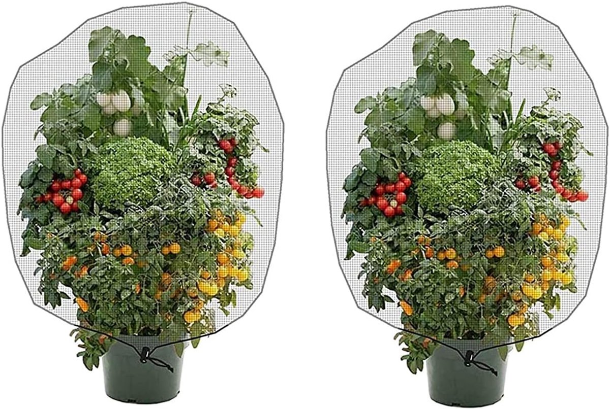 SnelShoppen - 2PCS Insecten Vogel Barrier Netting Gaas Met Trekkoord - Tuin Insectennet Planten Bedekking Voor Bescherming Van Planten Fruit Bloemen T