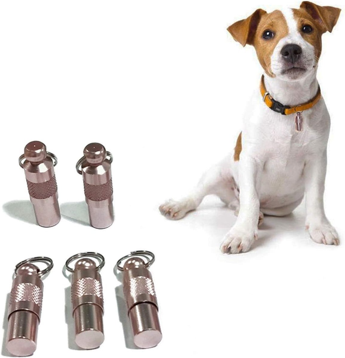 Capsulevormige ID-tags voor huisdieren - Waterdichte en stille identificatie voor katten en honden, 5 stuks, voorkomt verlies en beschermt persoonlijke informatie