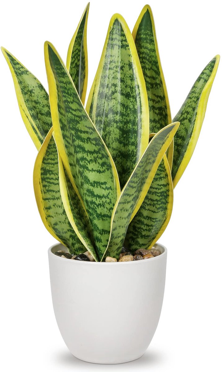 Famanu Sansevieria kunstplant in keramische pot, kleine kamerplant, kunstmatige slangenplant, perfect voor badkamer, slaapkamer, thuis en kantoor, decoratie, hoogte 33 cm Zwart