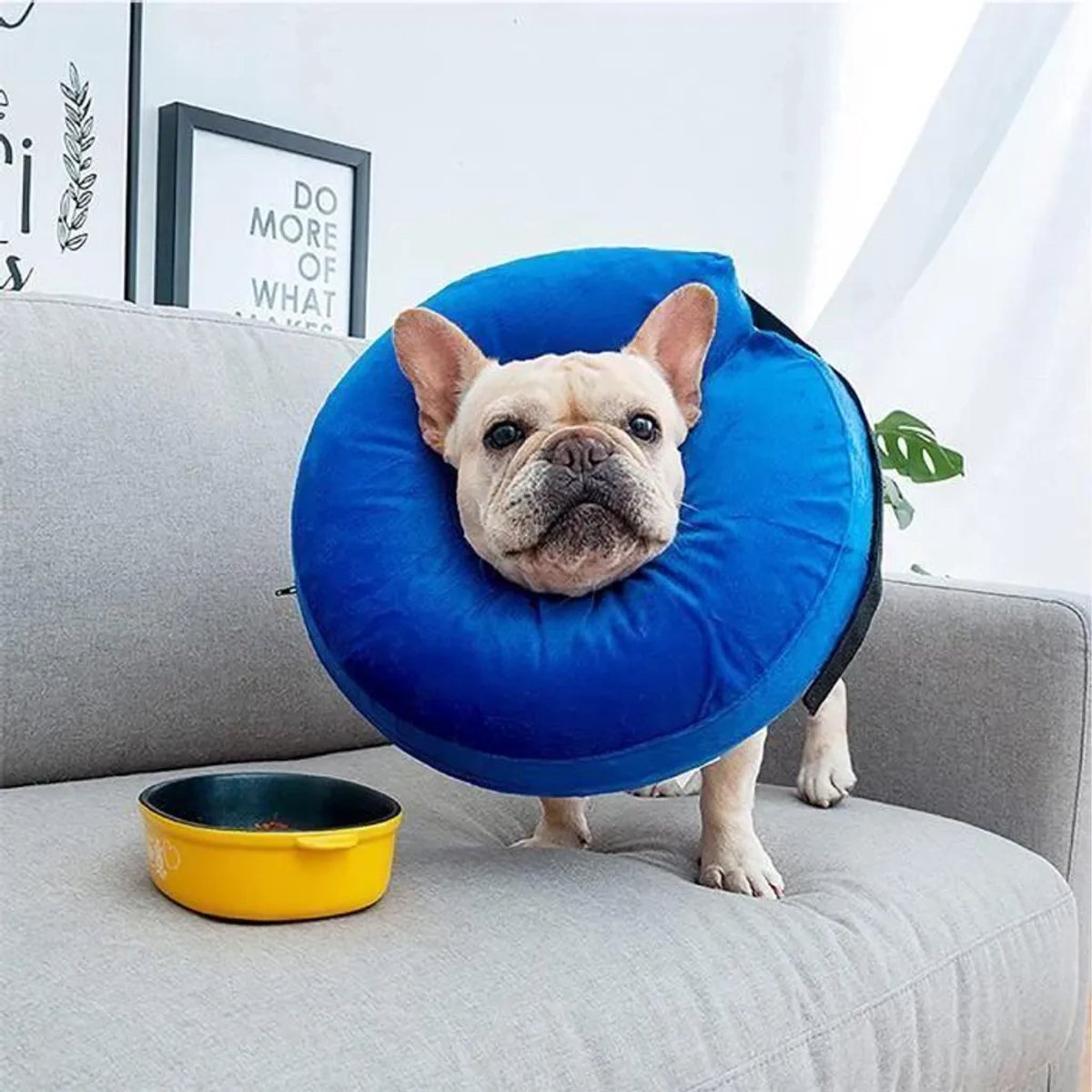 Opblaasbare kraag Geschikt voor honden en katten, zachte opblaasbare huisdierhalsband, E-vormige halsband Geschikt voor gesp.