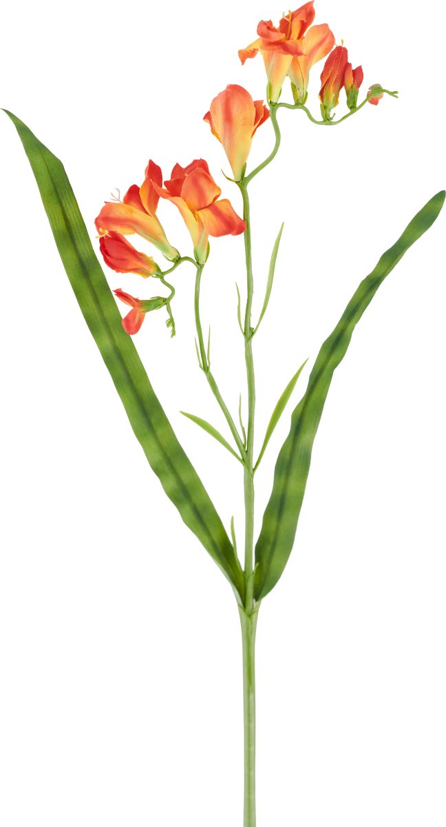 Easyplants | Kunstbloem Freesia 56 cm oranje | Zijde | Nepbloemen | oranje | Onderhoudsvrij | Kant-en-klaar
