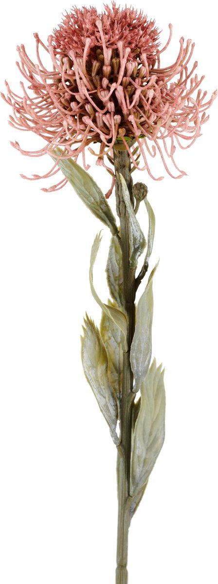 Easyplants | Kunstbloem Protea 60 cm oud roze | Zijde | Nepbloemen | roze | Onderhoudsvrij | Kant-en-klaar