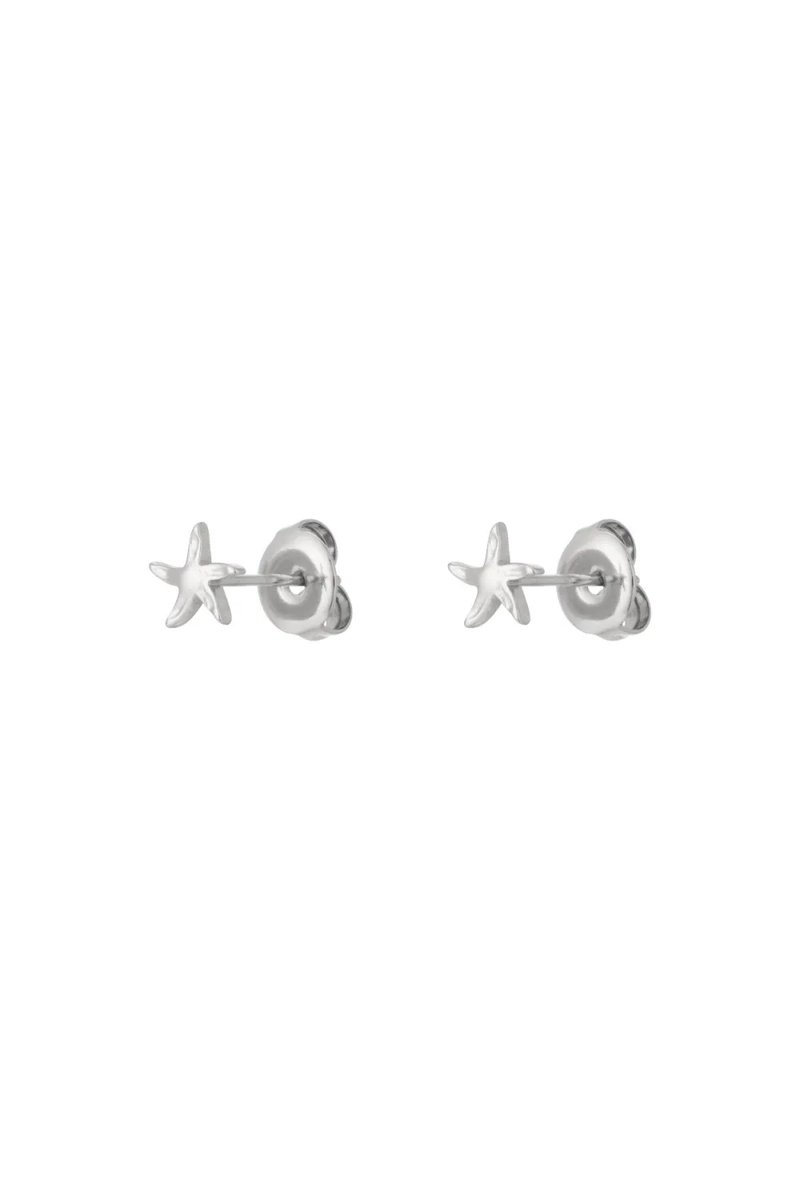 Ocean Charm-Oorbellen zilveren kleur