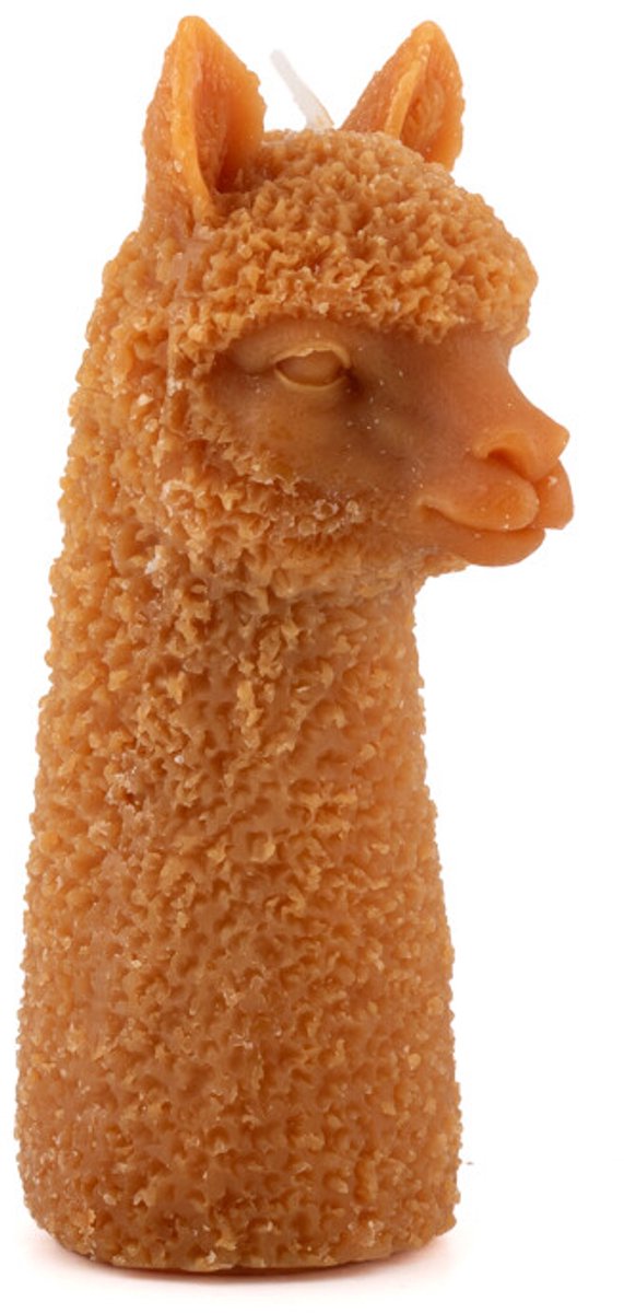 Kaars alpaca
