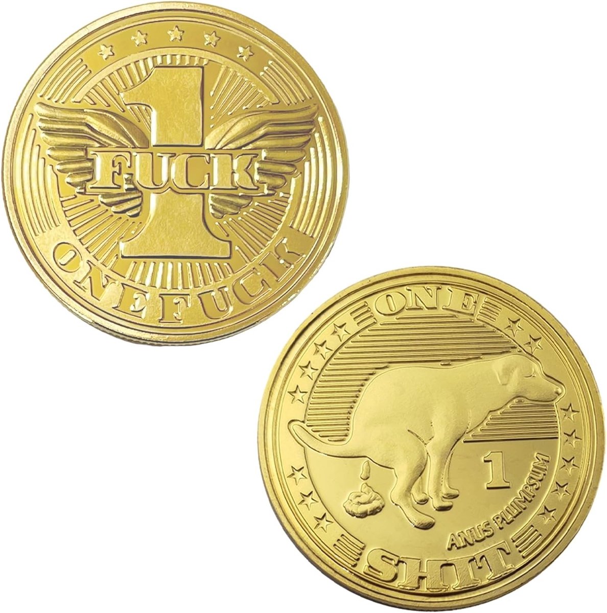 Grappige 2-delige cadeau set voor volwassenen met transparante plastic case, gouden munten voor vrienden en collega's, perfect voor verjaardagen en speciale gelegenheden