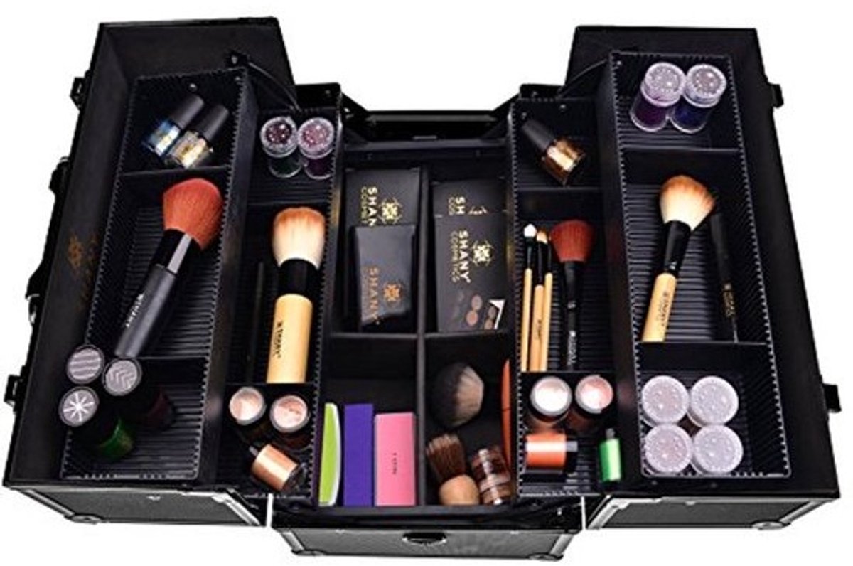 Essentiële Pro Make-up Train Case - Draagbare Cosmetische Organizer met Compartimenten en Vergrendelingen