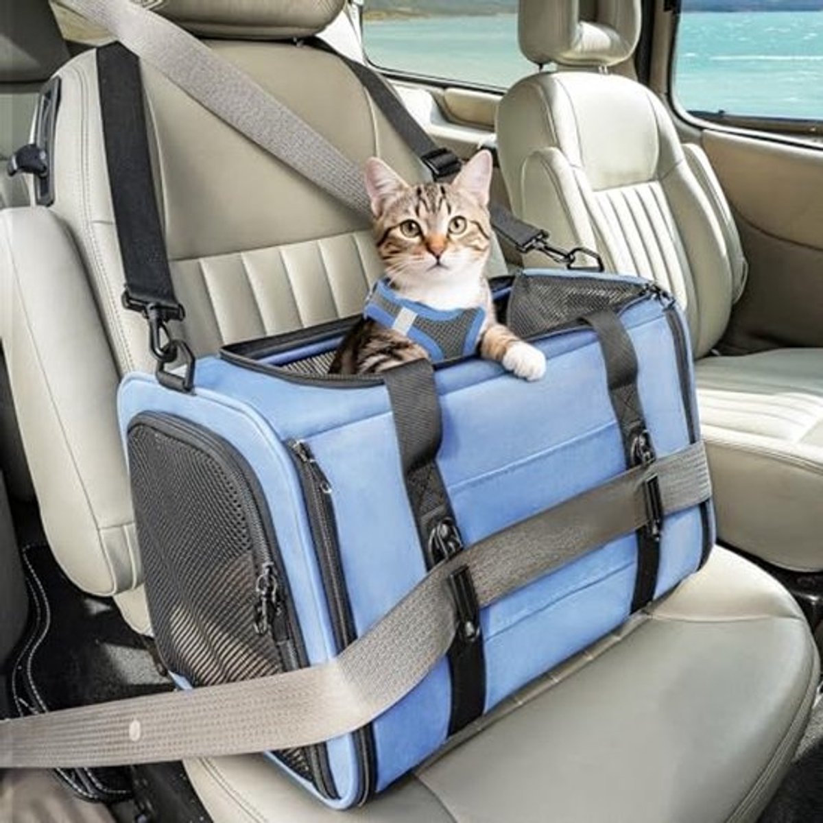 Opvouwbare Draagtas voor Kat en Hond - Transportbox met 4-zijdig Net en Afneembaar Kussen