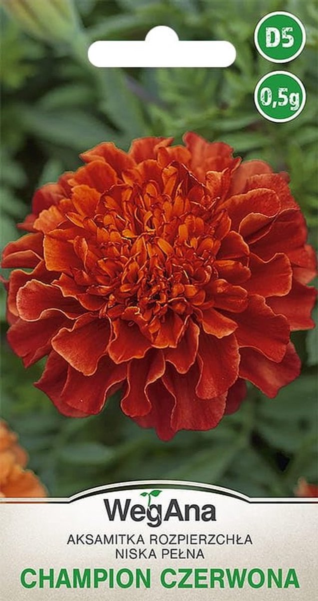 Solidchoice - Goudsbloem Champion Rood Zaden 0,5g - Bloemen voor de Tuin