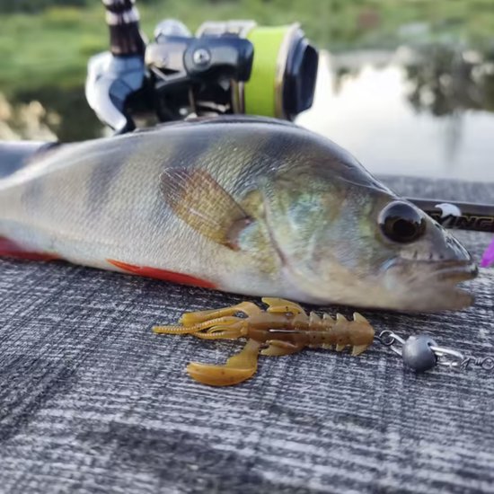 Softbait Kreeft - Creature Bait voor Baars en Snoekbaars - Kunstaas 65mm - 10 Stuks — afbeelding 2