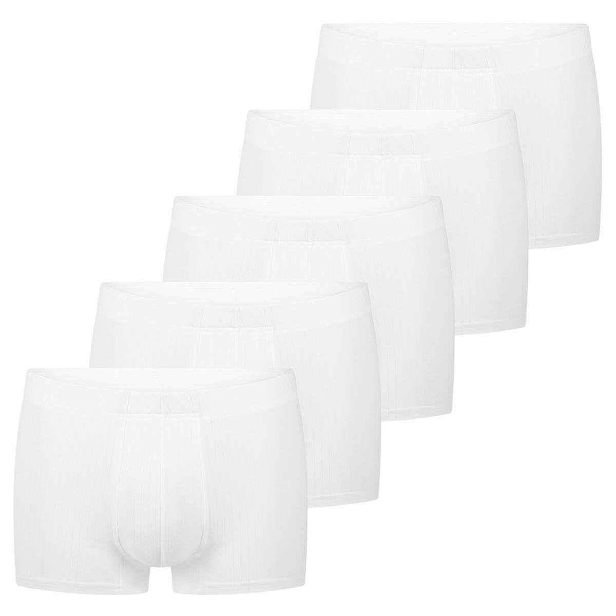 Speidel Heren retro short / pant 5 pack Sky.line