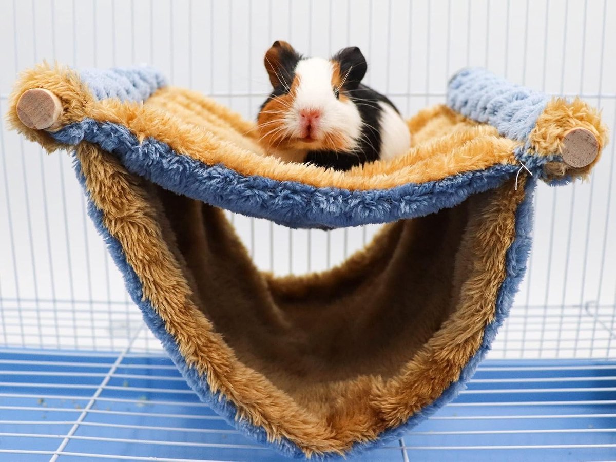 Fleece Winter Warm Rat Hammock - Dubbele Laag Hangbed voor Knaagdieren, Warm Fleece, Schuilplaats en Bed Tent voor Rat en Cavia