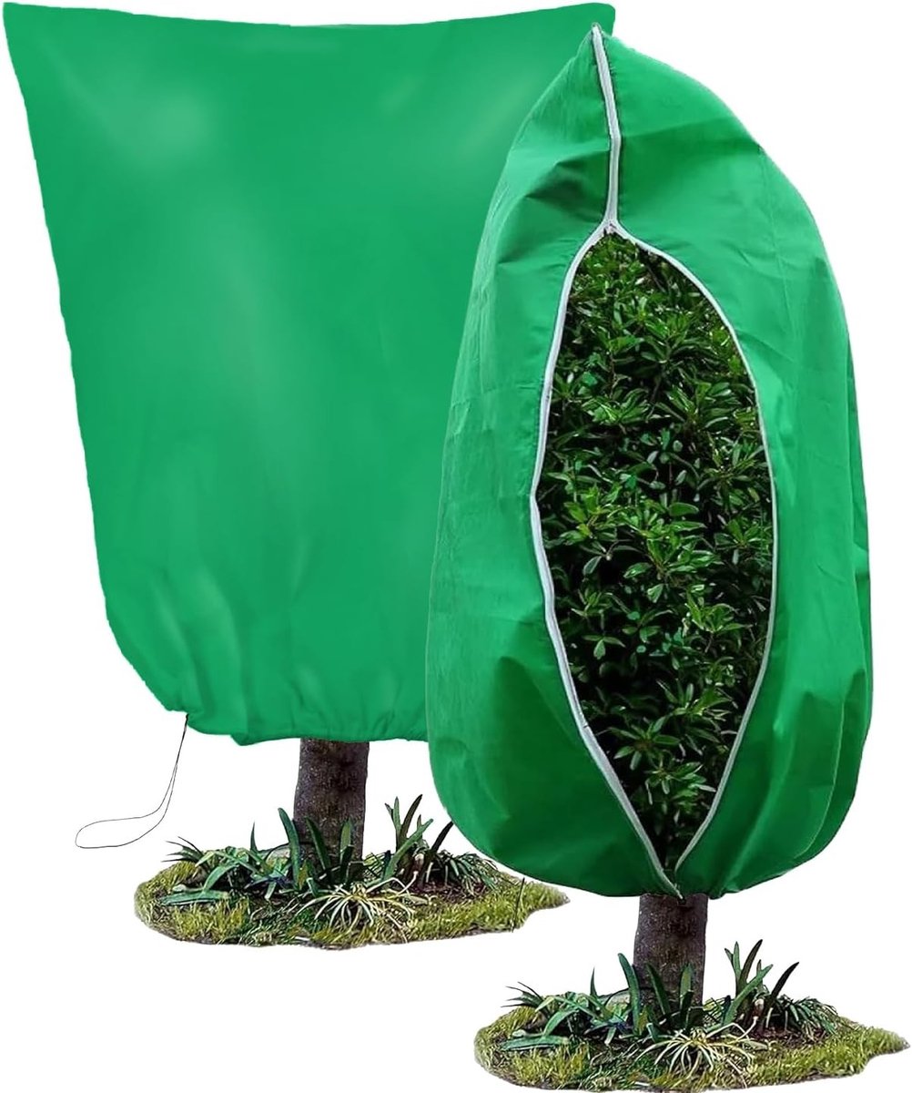 Winterbescherming voor planten en palmen, vorstbescherming met tuinvlies en plantenzakken met rits