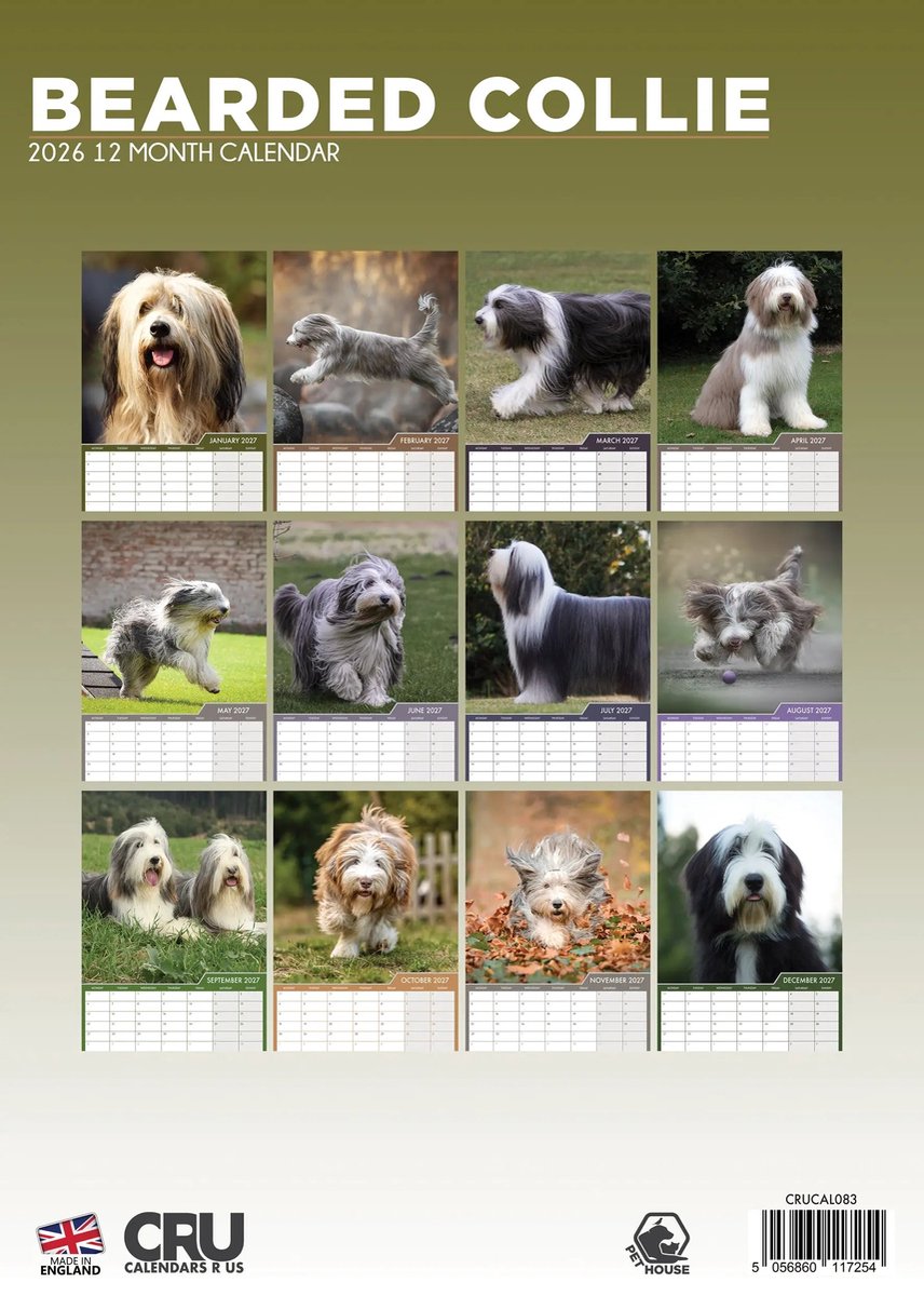 Bearded Collie A3 Kalender 2027