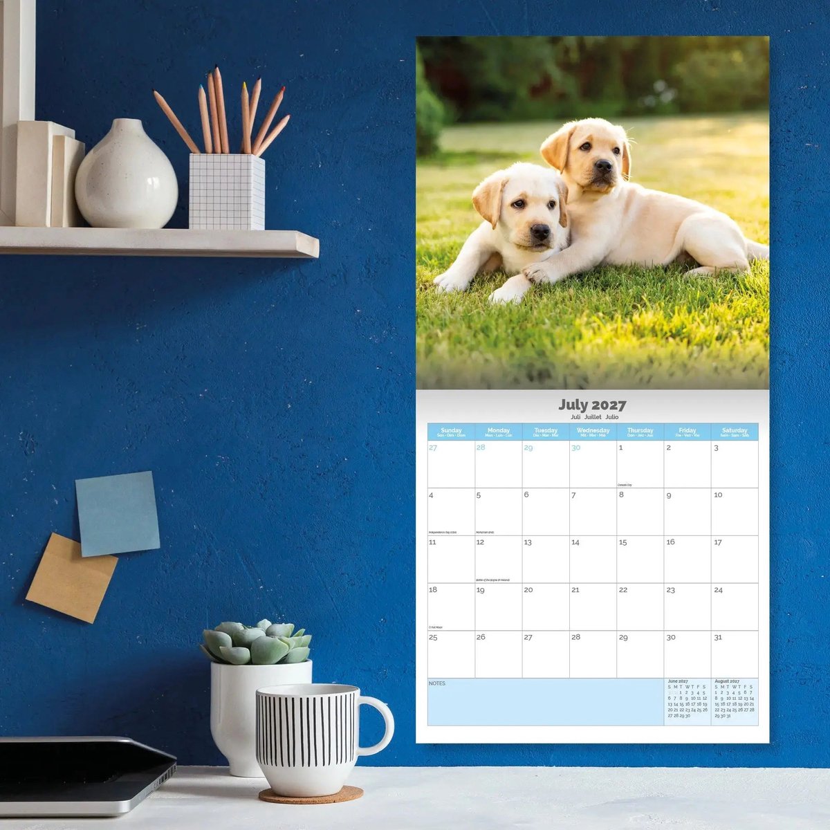Baby Dieren Kalender 2027