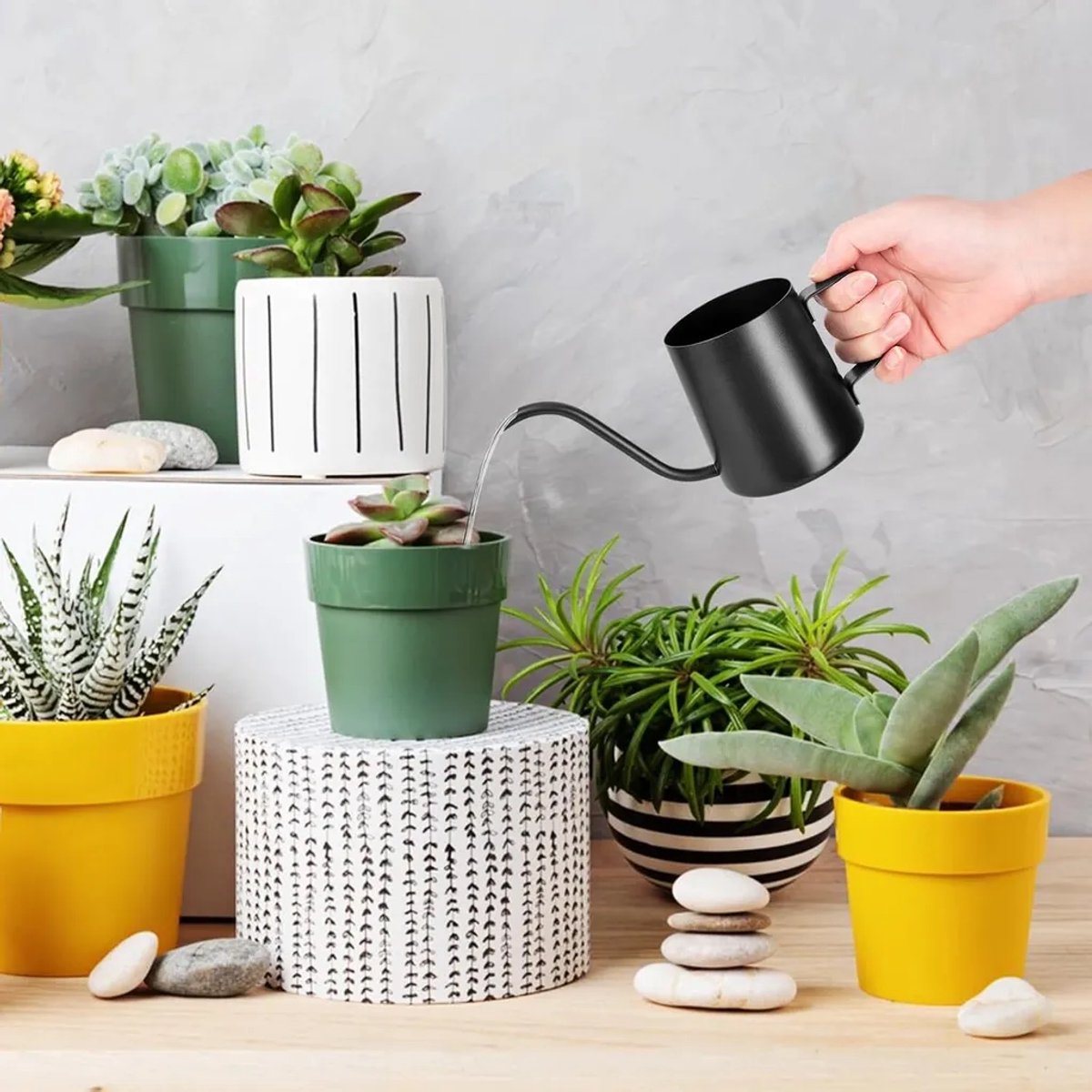 Gieter van 250 ml van roestvrij staal Geschikt voor lange tuit, Geschikt voor kamerplanten en vetplanten.
