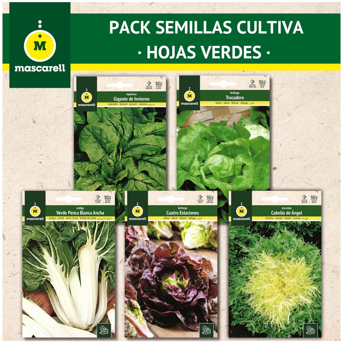 Solidchoice - Zadenmix Groene Bladeren - Snijbiet, Spinazie, Sla & Witloof