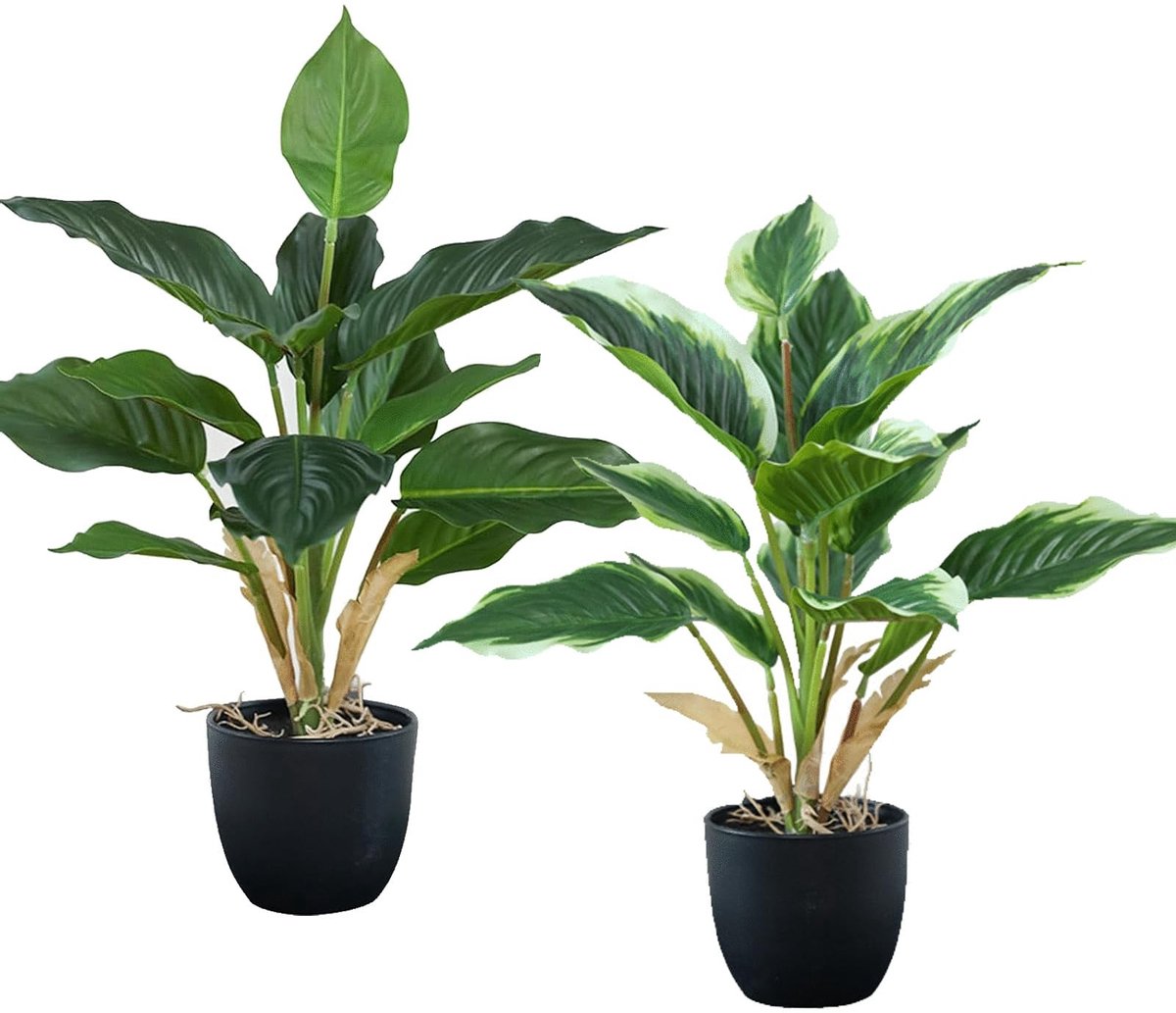 Elzusha - Set van 2 Kunstplanten Dieffenbachia voor Binnengebruik