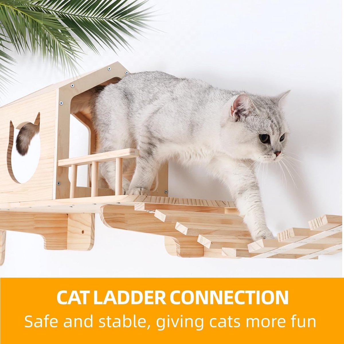 Katten klimwandset - Wandmeubel kat - Spelen en klimmen - Handgemaakt grenenhout - 1 kattenhuis 1 ladder - Natuurlijk hout