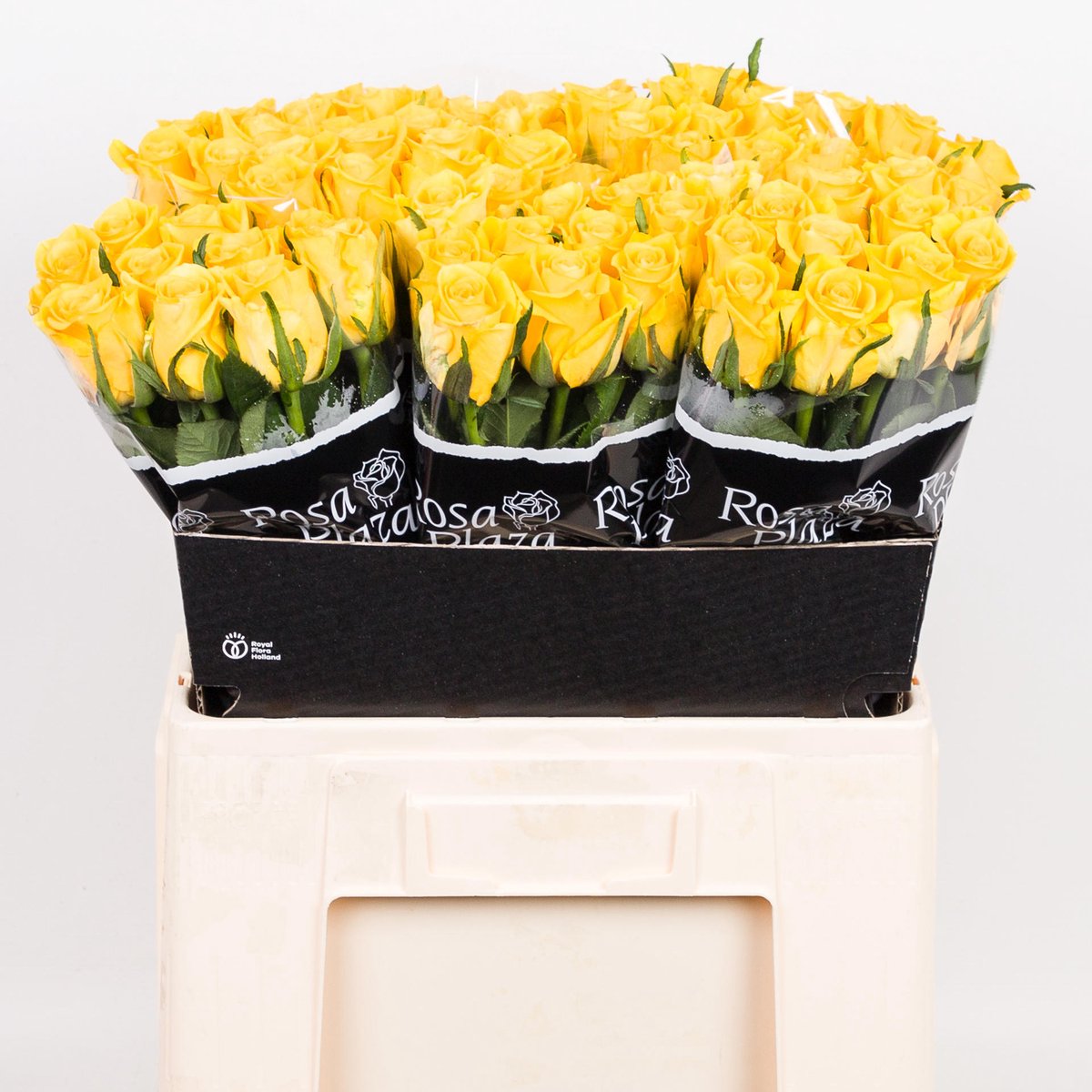 20x Rosa moonwalk 50cm