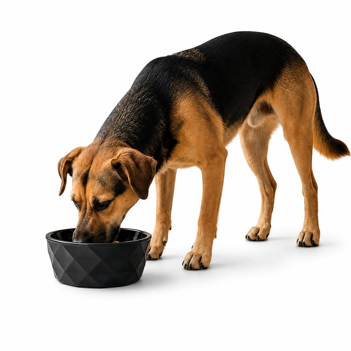 belviona Keramische voerbak hond, antislip & vaatwasserbestendig, 550 ml mat zwart