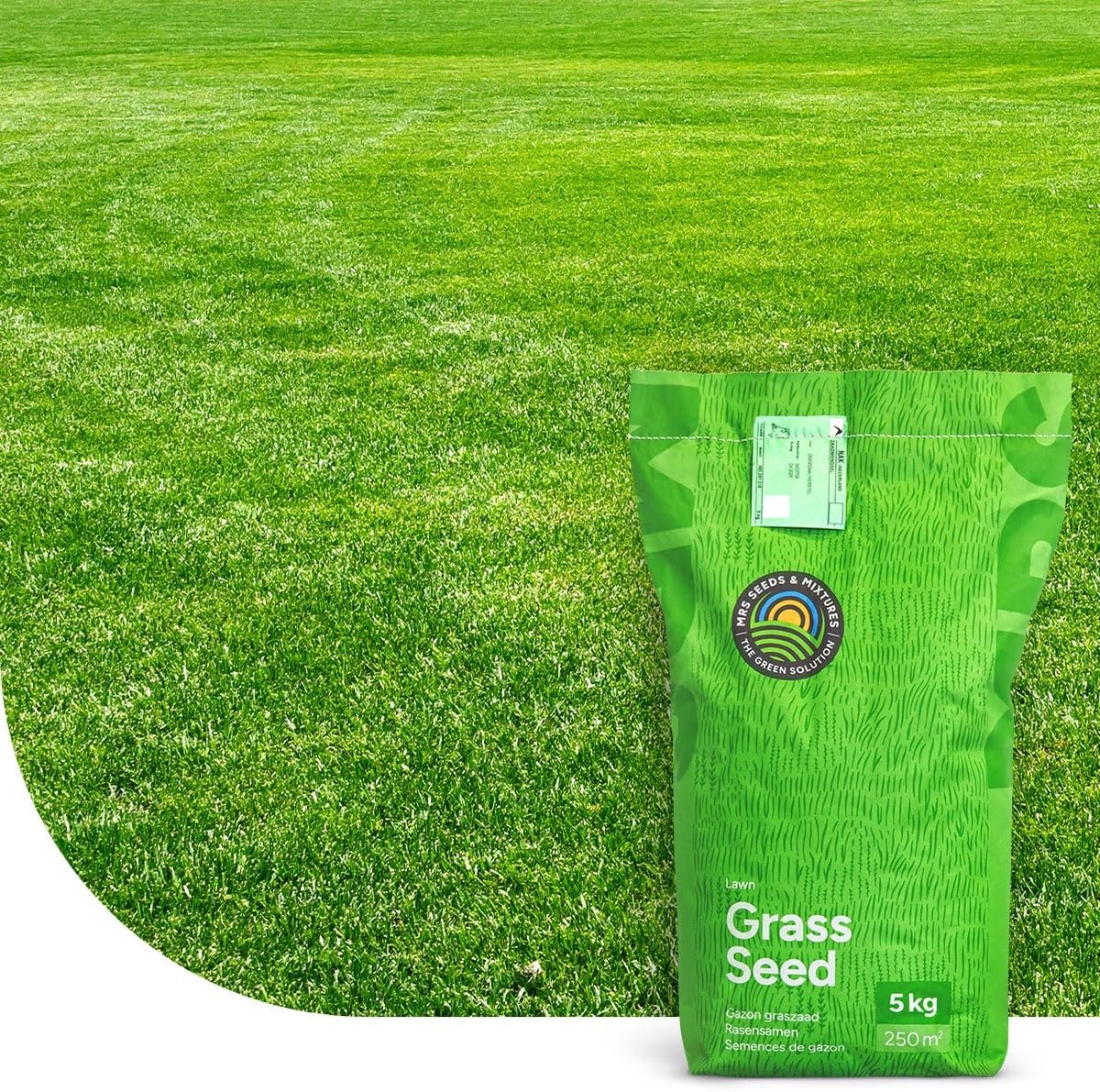 Elzusha- Graszaad Herstelgazon 1 kg voor 50 m² - Snelkiemend Gras - Droogteresistent - Voor Alle Bodemsoorten - NAK-gecertificeerd - Dichte Zode