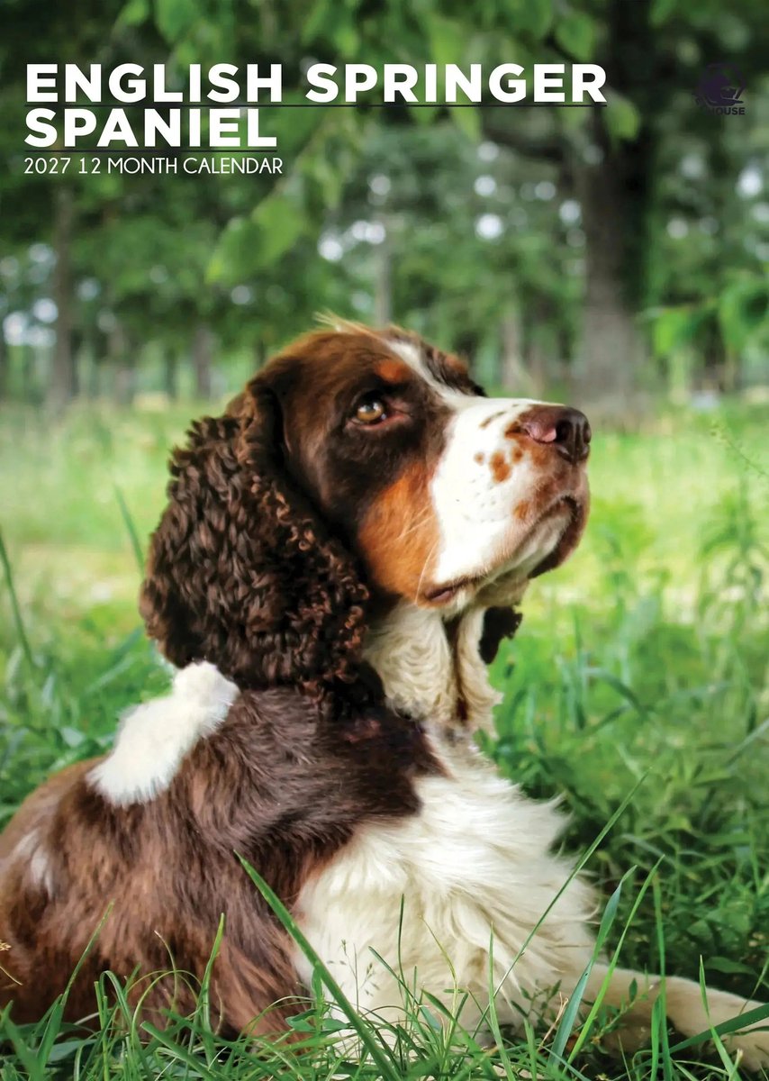 Engelse Springer Spaniel A3 Kalender 2027