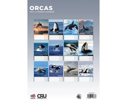 Orca A3 Kalender 2027