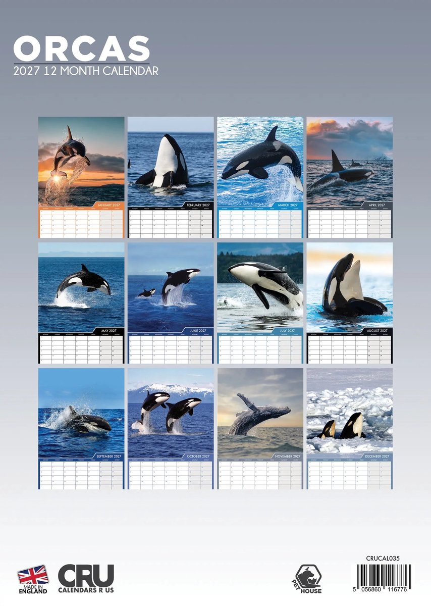 Orca A3 Kalender 2027