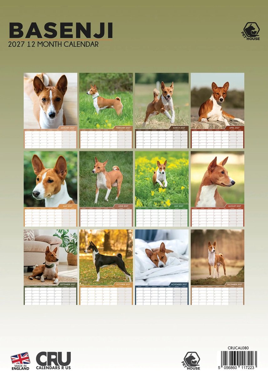 Basenji A3 Kalender 2027