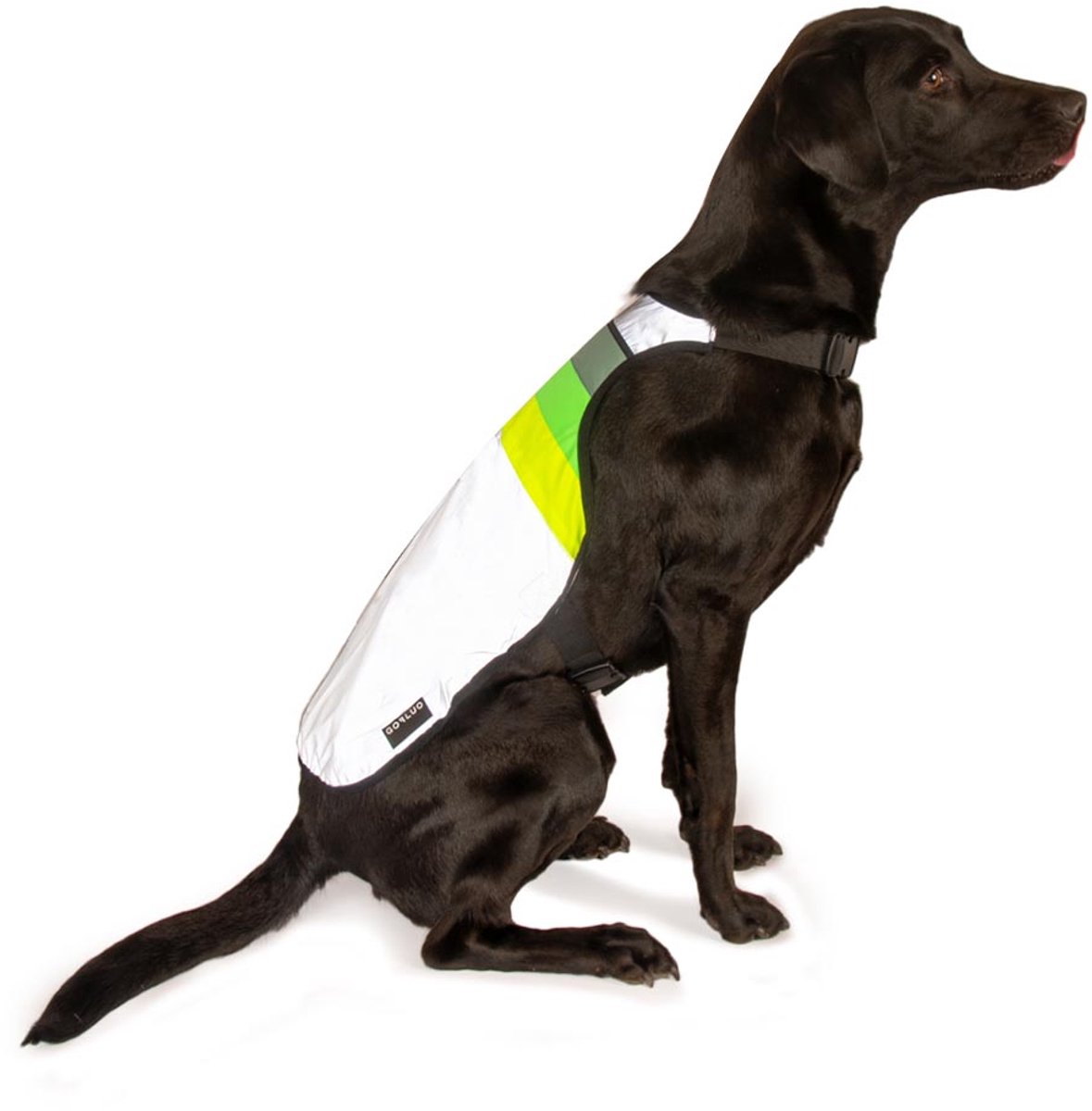 GOFLUO - Hondentuig Moonlight - Reflecterend - Hondenharnas - Fluo - Veiligheidshesje - Wandelen - XL - Grey reflective