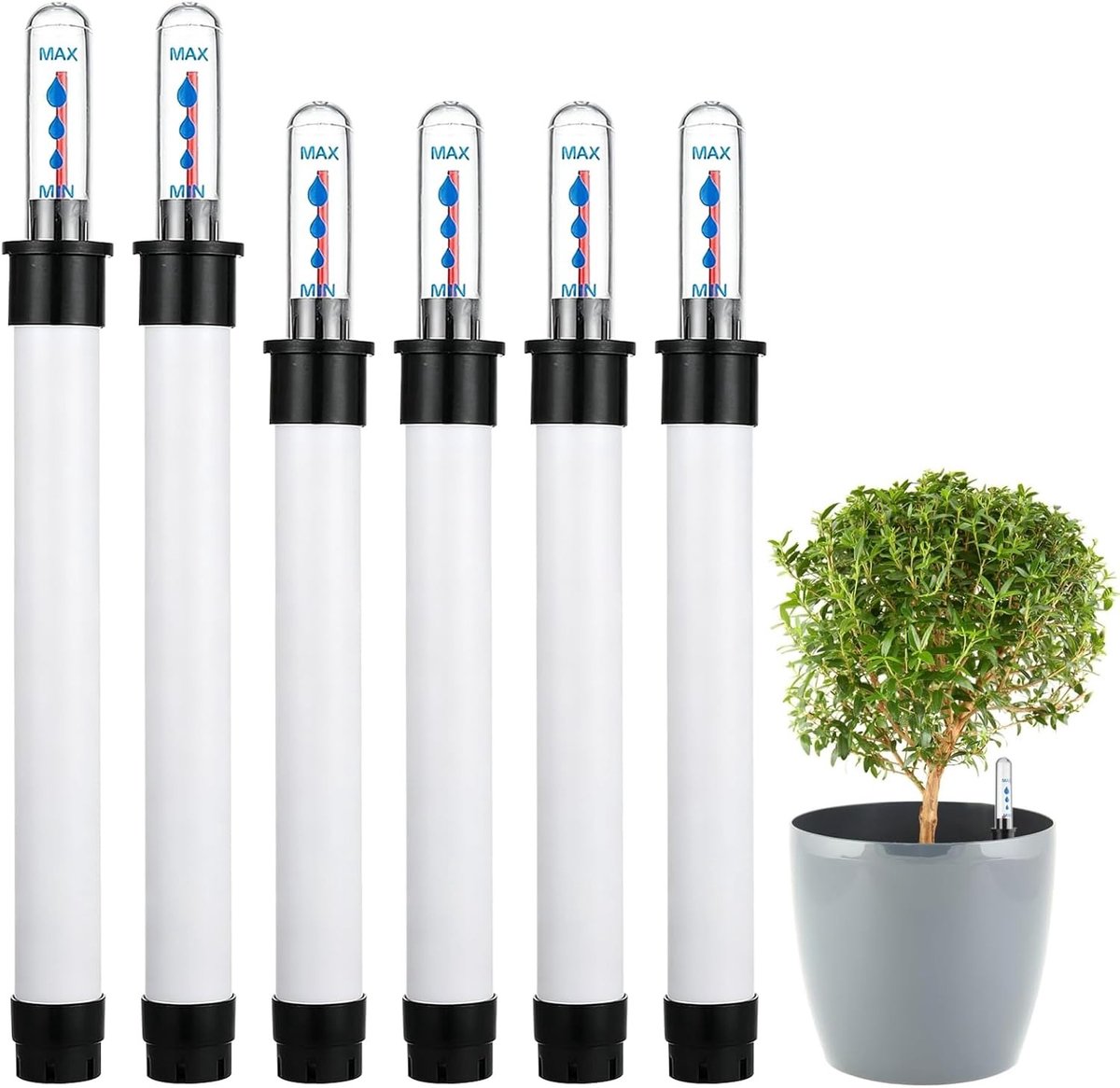 Waterniveau-indicator - Transparant - 20 x 1,3 x 1 cm - Duurzaam Kunststof - Voor Planten