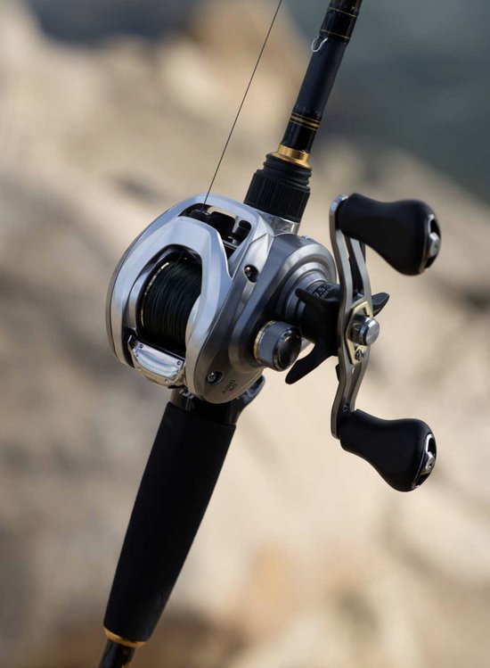 Daiwa 25AIRD Baitcaster Reel 80LH van Daiwa — afbeelding 3