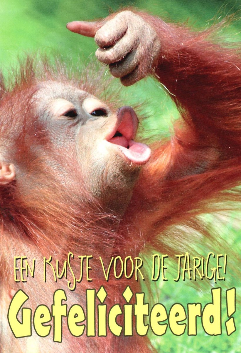 Verjaardagskaart dier | Wenskaart | 10 stuks | Een kusje voor de jarige! Gefeliciteerd!