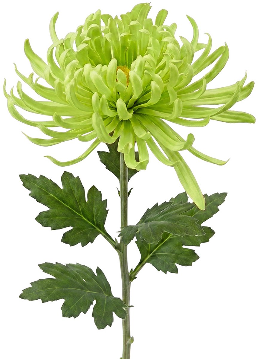 Clayre & Eef Kunstbloem Groen Kunststof
