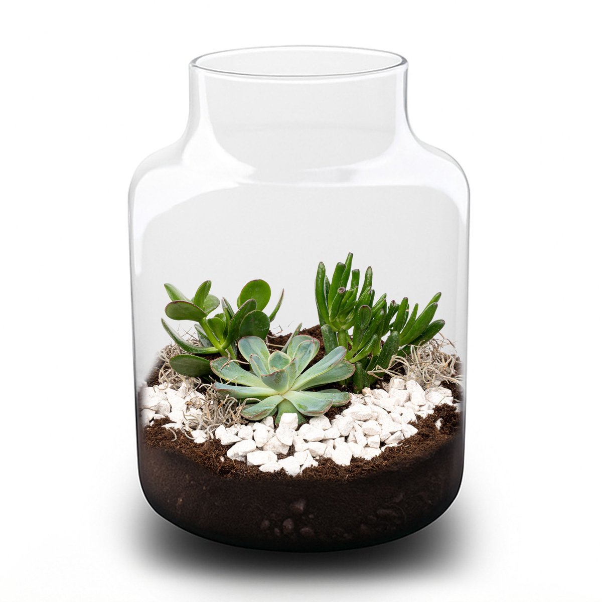Milky Succulent - Open terrarium - Flessentuin DIY kit - Ø 21 cm ↑ 30 cm