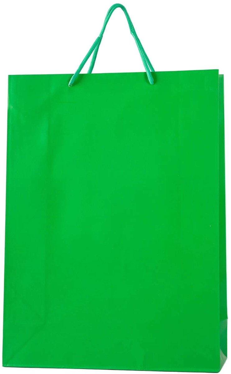 24x Luxe Papieren Koordtassen Groen – 31x42x12cm – Stevige Cadeautassen & Verpakkingstassen